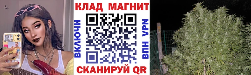 Наркота Сычёвка ТГК МЕФ COCAIN ГЕРОИН ГАШ APVP МАРИХУАНА