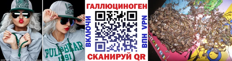 сколько стоит  Сычёвка  Галлюциногенные грибы GOLDEN TEACHER 